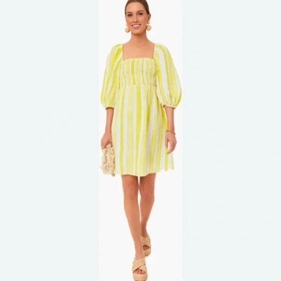 Tuckernuck | New Annie cabana stripe mini dress Women’s size L smocked Linen NWT - Picture 2 of 9